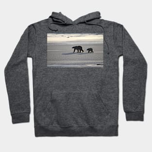 Silver Glow. Polar Bears at Sundown, Churchill, Canada Hoodie